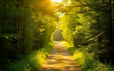 S3E11 — Aura-mechanica: waar Ra Type & Strategie vandaan haalde