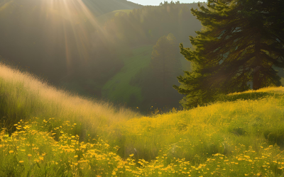 S2E2 — 2027: De Grote Mutatie (deel 2)