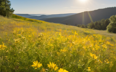 S2E3 — Conditionering versus in je eigen centrum