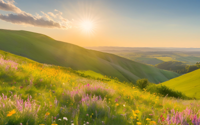 S2E4 — Harmonie in de dualiteit van het leven