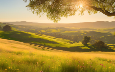 S2E8 — De aura spreekt